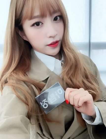 헤헷 이미지