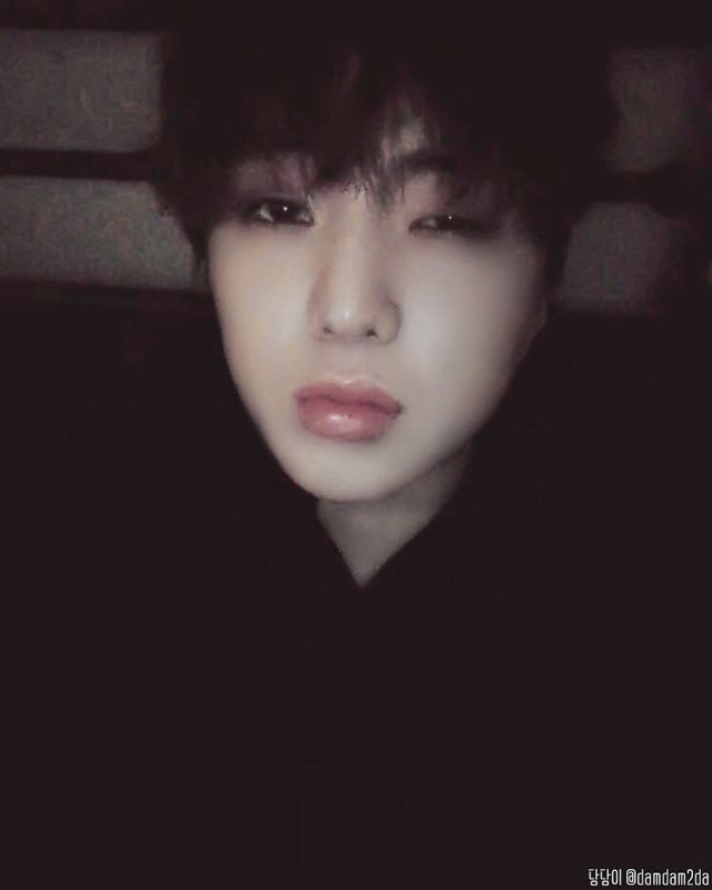 와이지 이미지