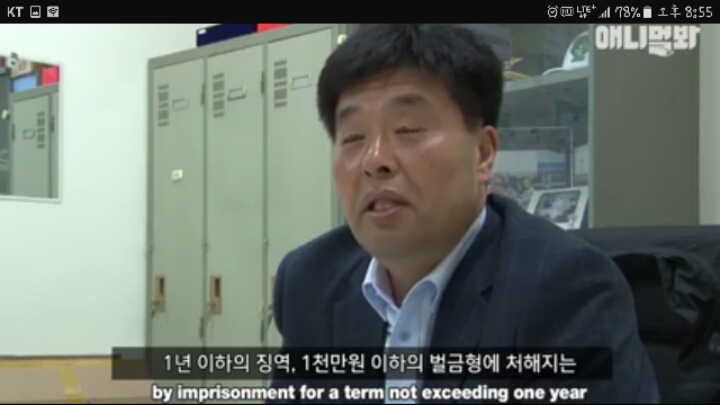 짜증난다고..고양이에게 화살 쏜 40대 남자 | 인스티즈