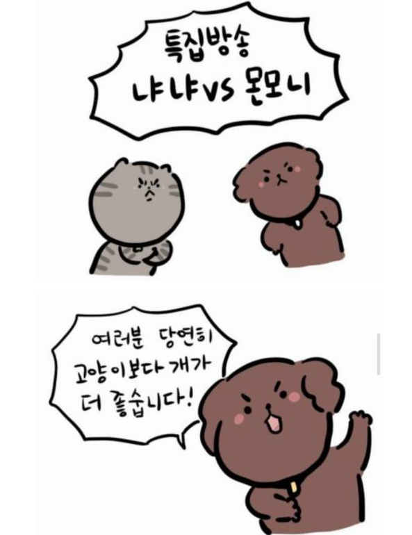 고양이와 강아지 | 인스티즈