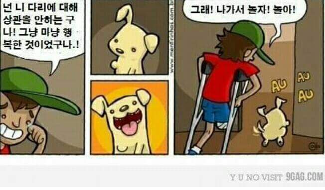 한 쪽 다리가 없는 강아지를 선물받은 소년 | 인스티즈