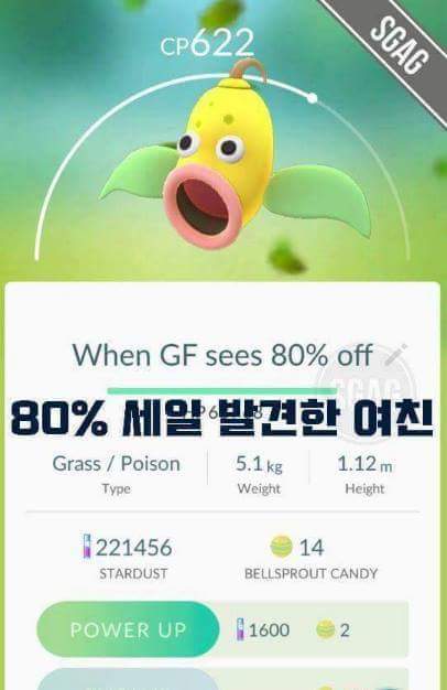 천조국의 흔한 포켓몬고 작명.jpg | 인스티즈