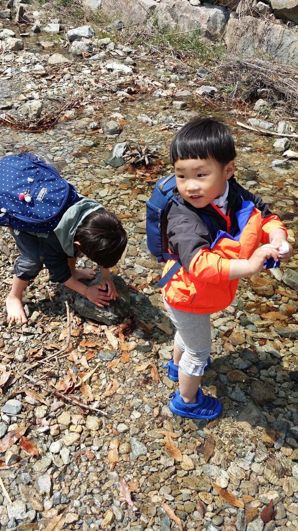 달비골 이미지