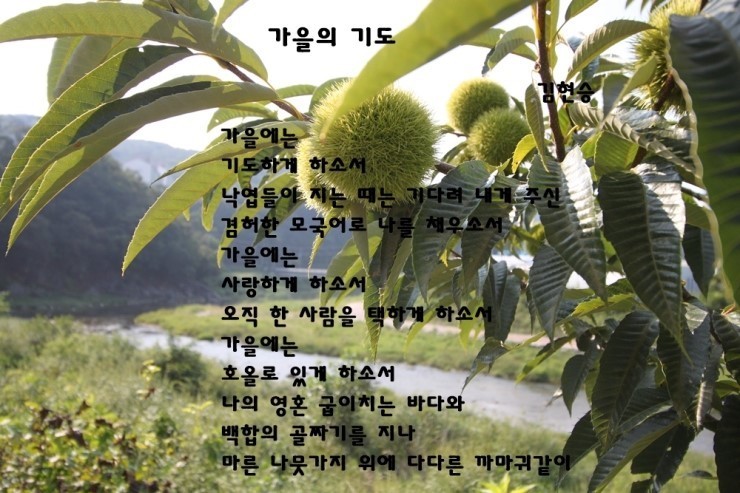 김현승 이미지