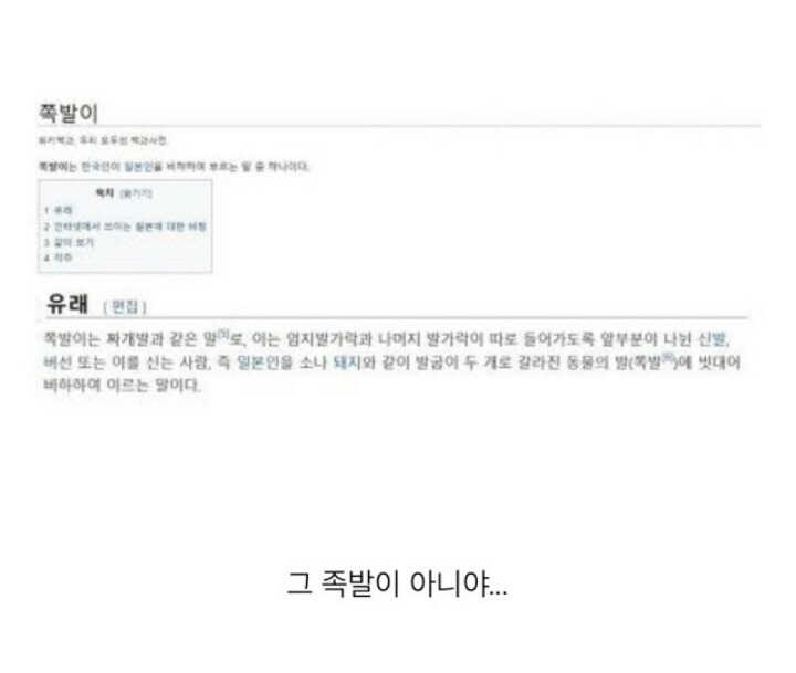 일본인들에게 욕먹는 모모 | 인스티즈