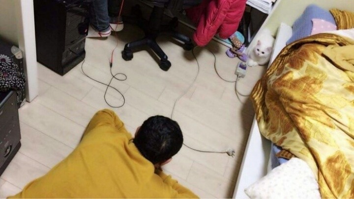 아빤 고양이 싫다.jpg | 인스티즈