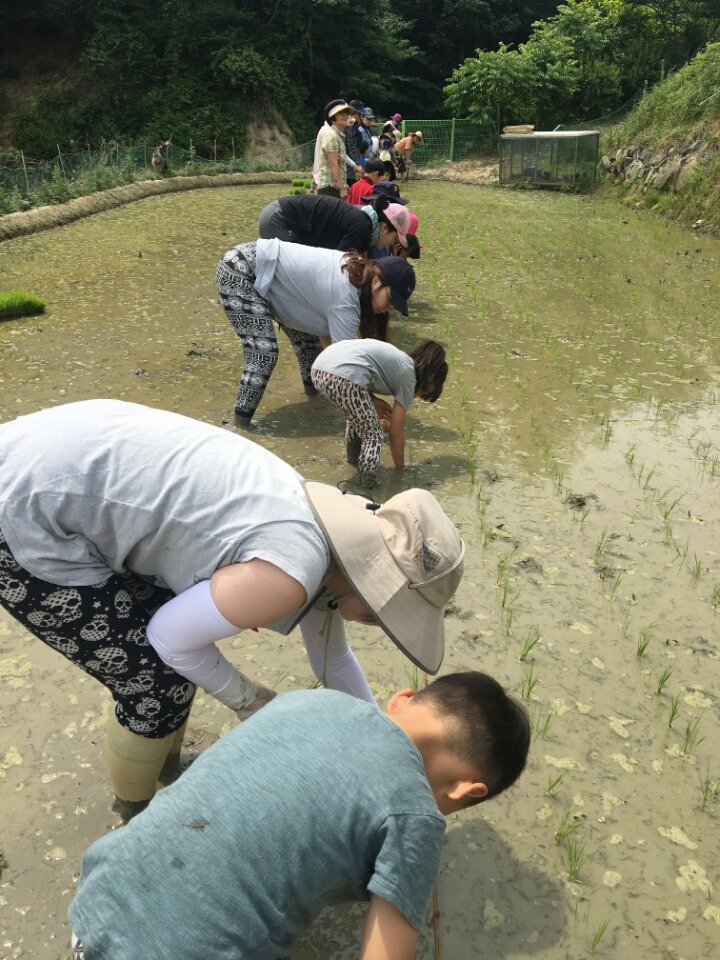 꿈밭유치원 이미지