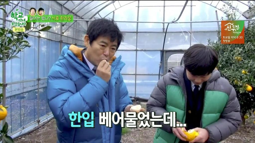 한라봉도 착하게 먹는 김희원 | 인스티즈