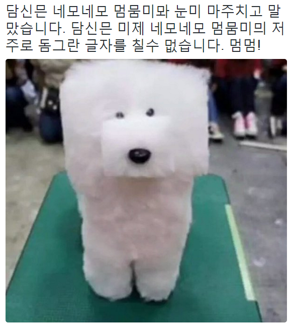 구십삼93 이미지