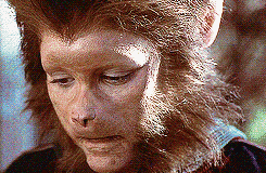 한번 시작하면 끝날 때까지 되돌릴 수 없는 게임 : 쥬만지 (1995) | 인스티즈