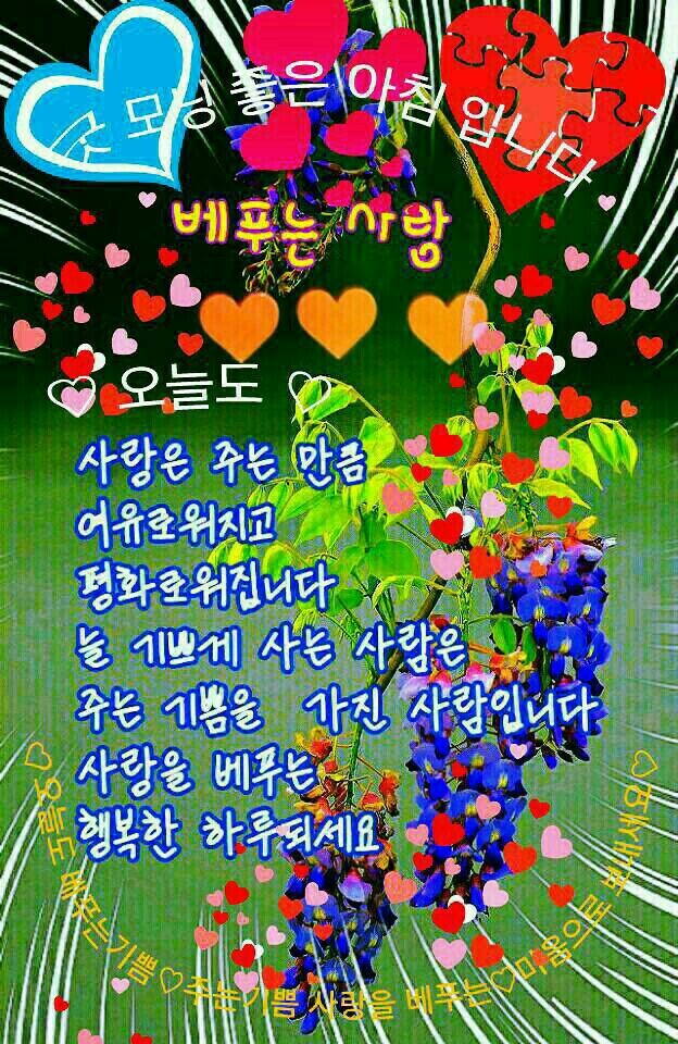 옆 이미지