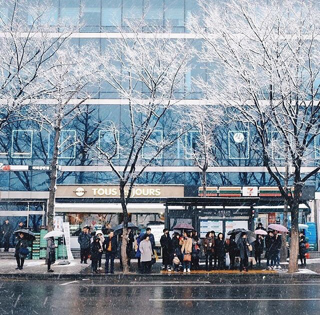 각자 살기 바빠 잊고 지내는 서울의 아름다움 | 인스티즈