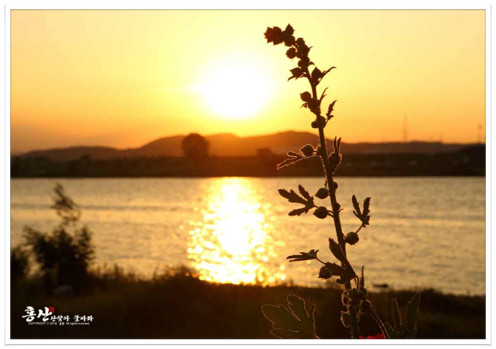 동산화원 이미지