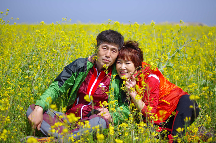 신시 이미지