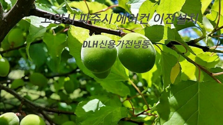 삼성;엘지;캐리어;대우;위니아에어컨 이미지