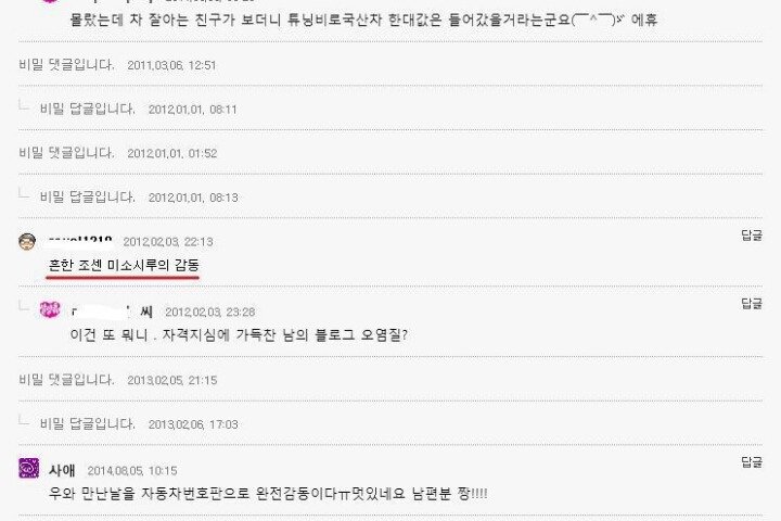 재벌 일본남자와 결혼한 한국여자 블로그에 찾아온 열폭남 | 인스티즈