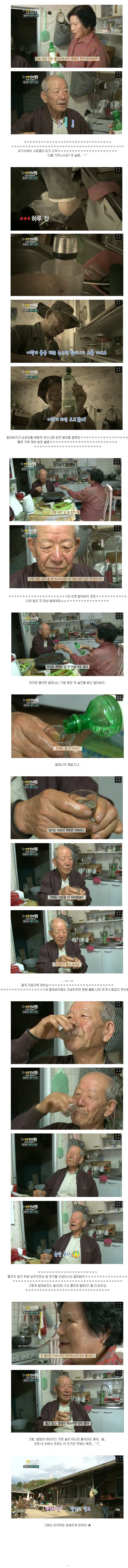 대한민국의 4대 할아버지 | 인스티즈