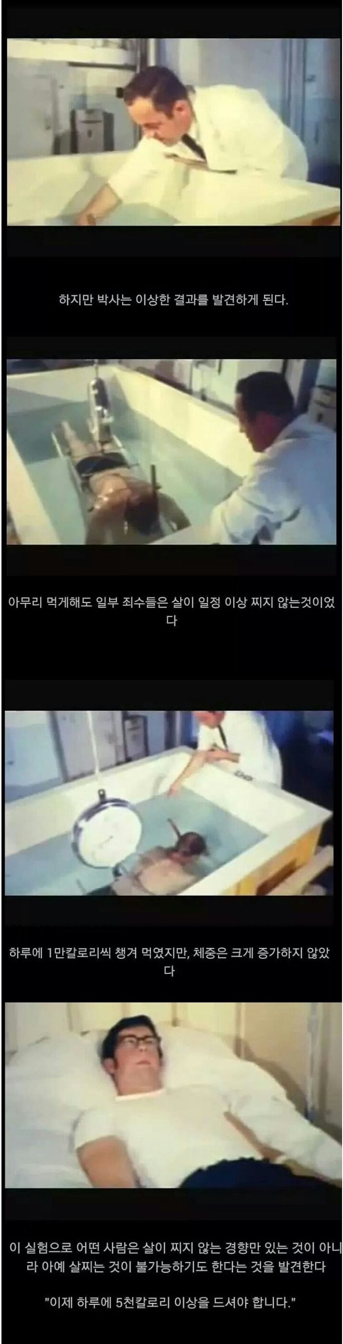 살이안찌는 체질 실험 다큐.jpg | 인스티즈