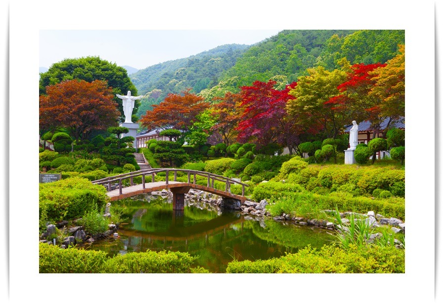 정이품 이미지