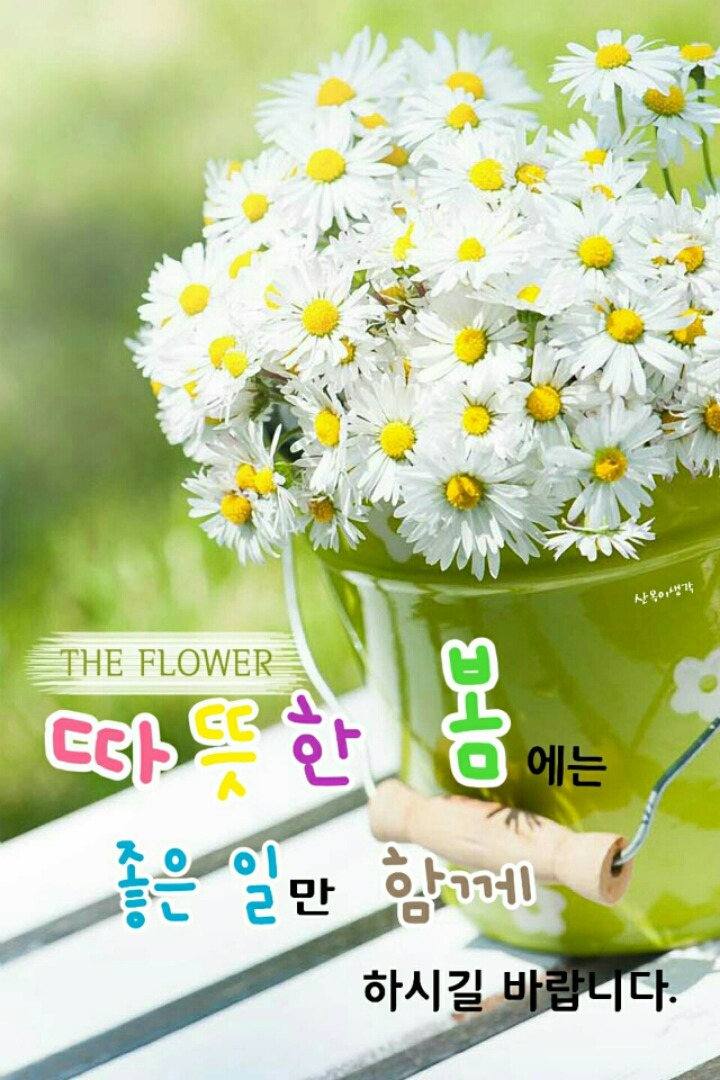 다님 이미지