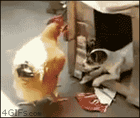 뜻밖의 시리즈.gif | 인스티즈