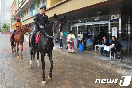 말타고 투표하러 온 사람.jpg | 인스티즈