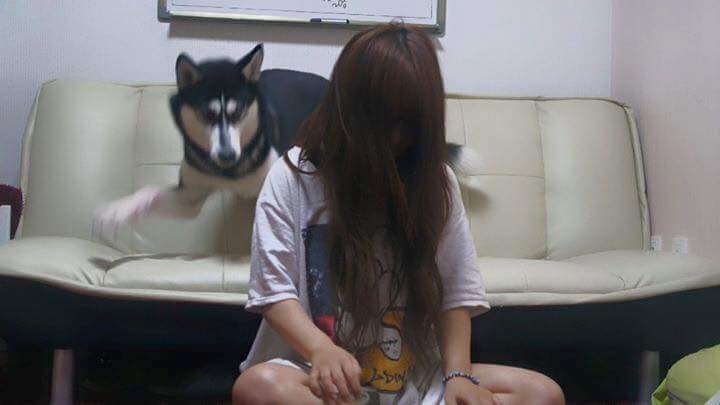 고양이 모자가 부러웠던 여자 | 인스티즈