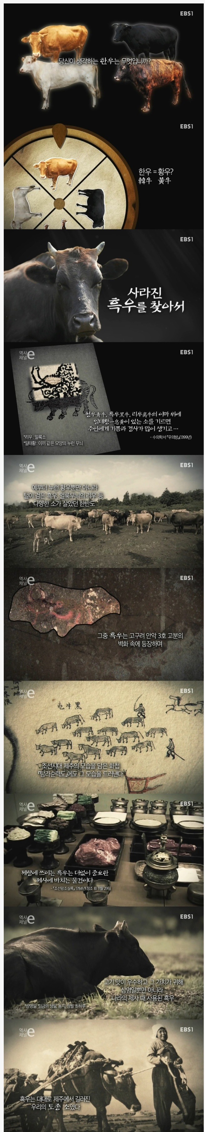 일본이 강탈해간 한국의 흑우.jpg | 인스티즈