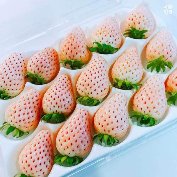 딸기 색의 편견을 깬 만년설핑크딸기 | 인스티즈