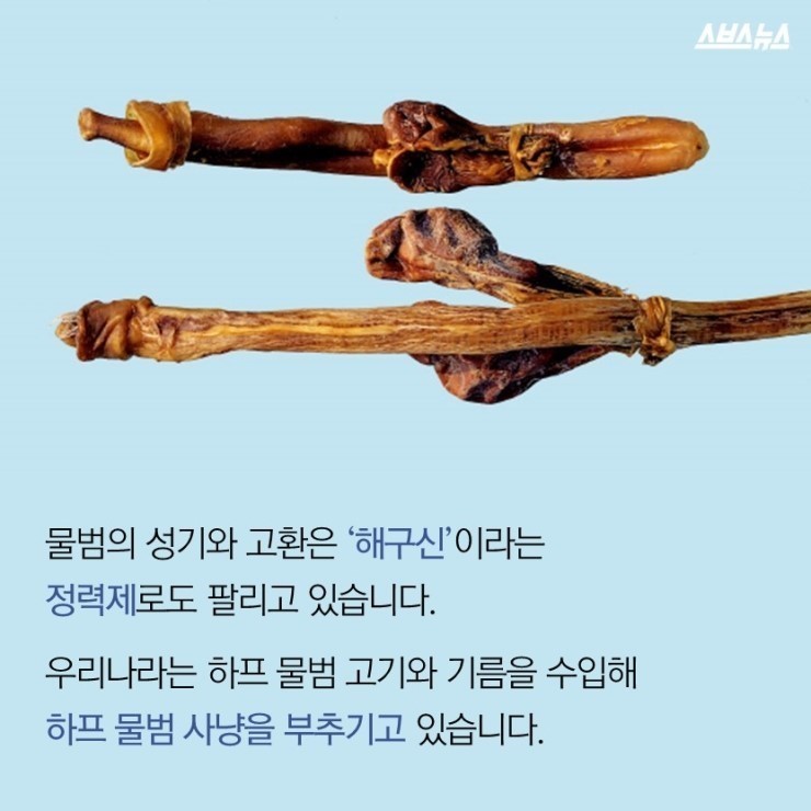  코리아 미워요 | 인스티즈