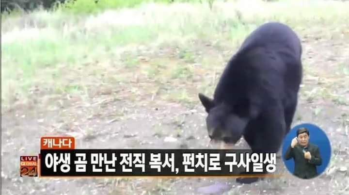 실제로 일어나고말았다 | 인스티즈