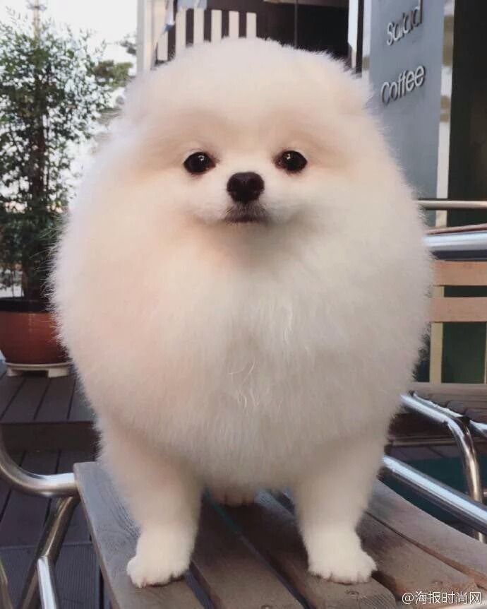 미소 이미지