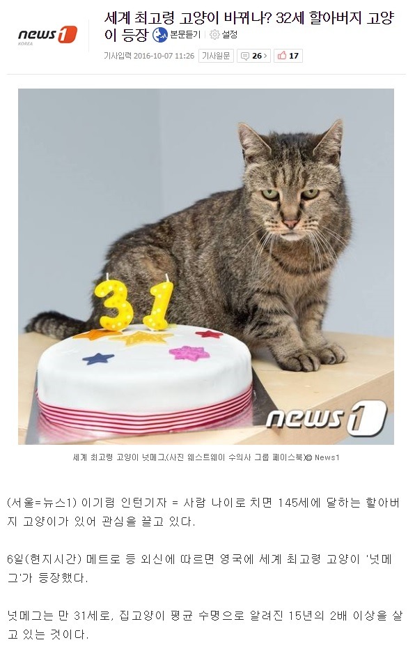 32살 고양이 | 인스티즈