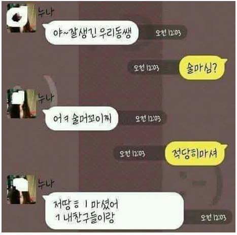 술 취한 누나의 카톡 | 인스티즈