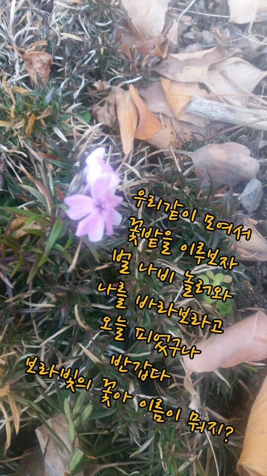 삼겹살좋은데이 이미지