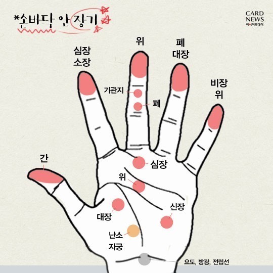 ＜부위별 지압OO이 아프면 OO을 지압하세요 | 인스티즈