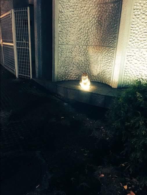 여기까지 오느라 수고했다 용자여 | 인스티즈
