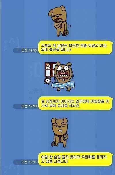 제카스 이미지