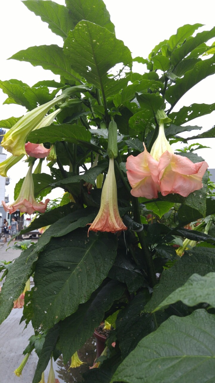 몽산포랑바다랑 이미지