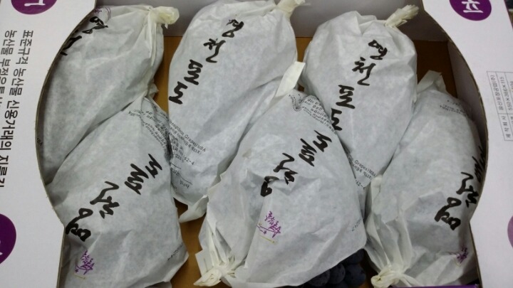 통통과일 이미지