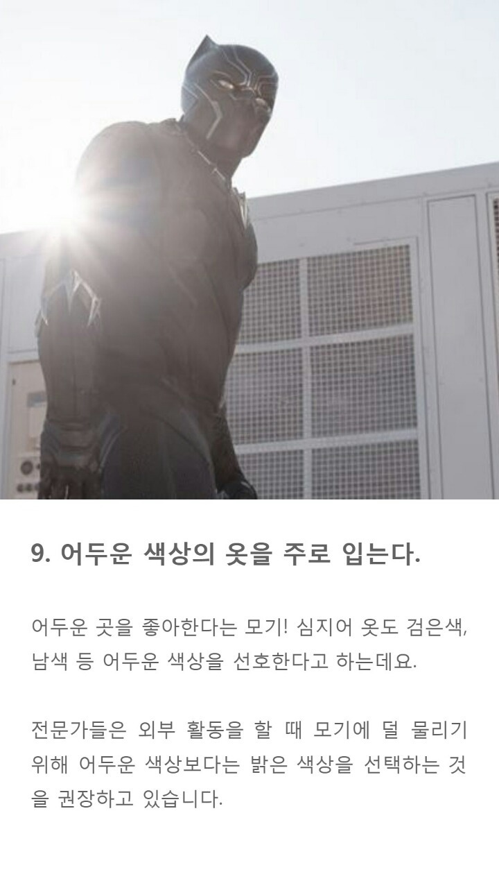 모기에게 잘 물리는 사람들 특징 9가지 | 인스티즈