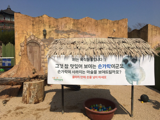 사라지는 마술을 보여주는 어린이 대공원 | 인스티즈