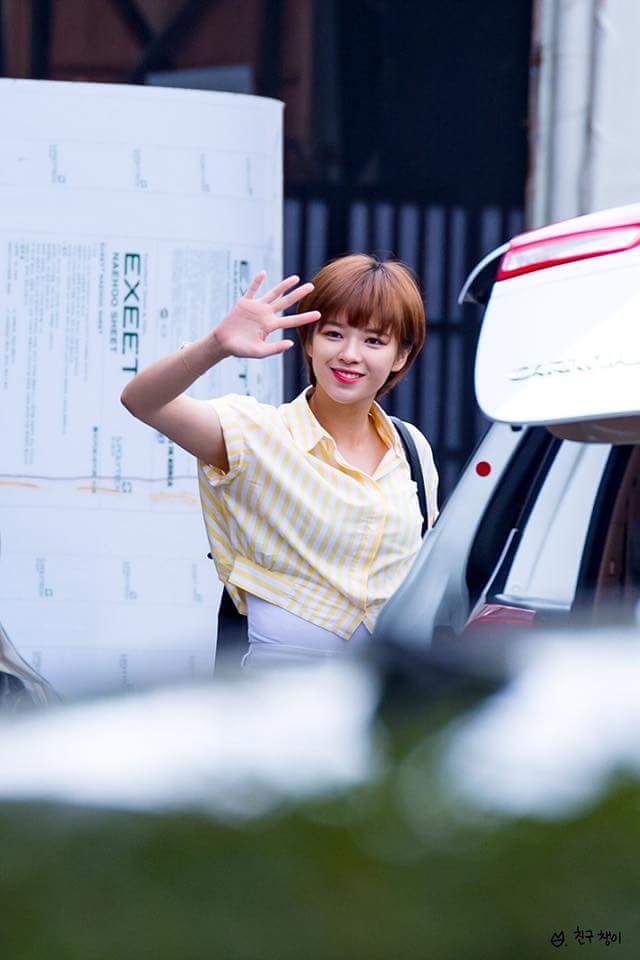 바이정은 이미지