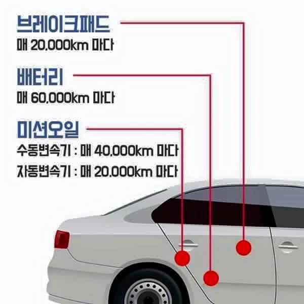 자동차 관리 하는 법 | 인스티즈