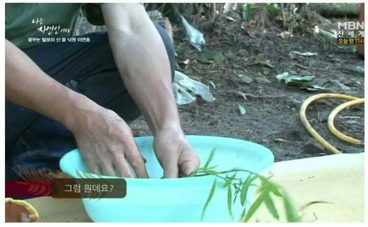 급섭외한것같은 자연인 ㅋㅋㅋㅋㅋㅋㅋ.jpg | 인스티즈