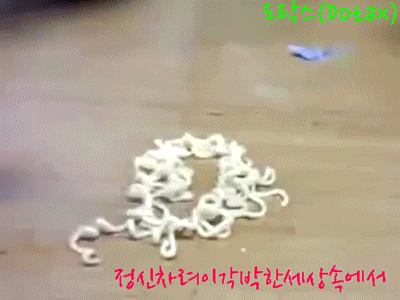아이린의 나쁜손 모음.gif | 인스티즈