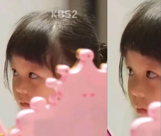 시호 유전자가 주장하기 시작한 최근의 추사랑.jpg | 인스티즈