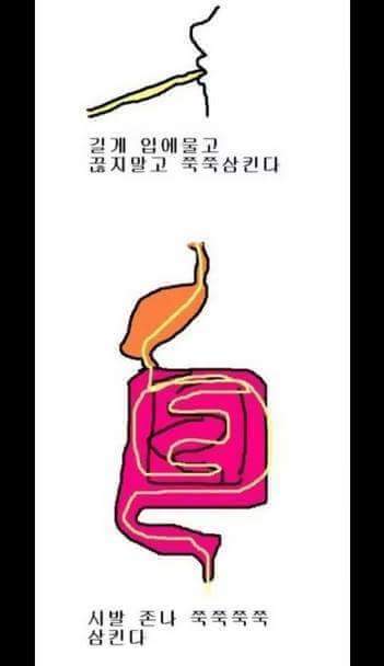 라면 하나로 평생먹기 꿀팁(비위약한사람 클릭ㄴ) | 인스티즈
