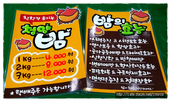 세종피오피 이미지
