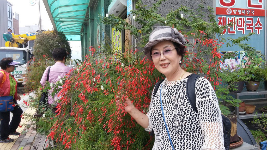 모아방 이미지